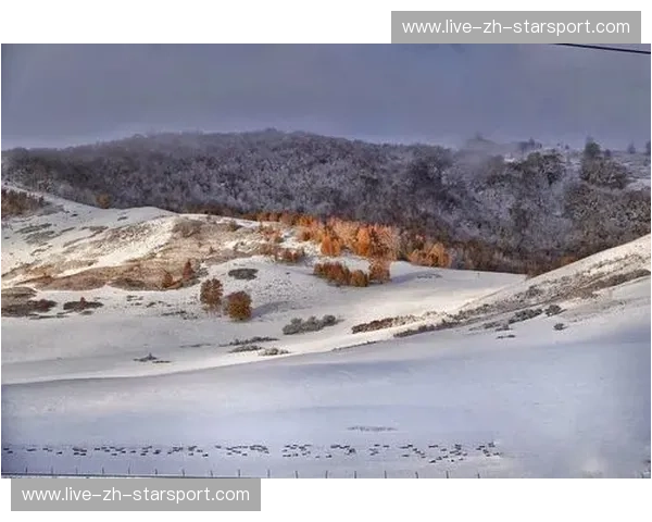 铁血与烈火的奔涌：当中国男篮遇见俄式篮球的“西伯利亚寒流”