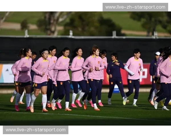 铿锵玫瑰绽放北欧：中国女足对阵芬兰，一场荣耀与梦想的较量